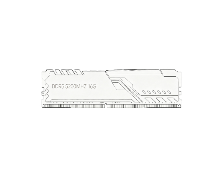 RAM (Random Access Memory)